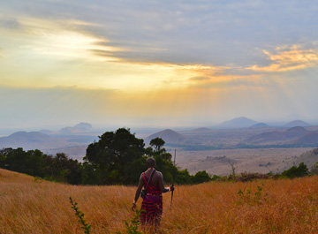 your first safari in africa