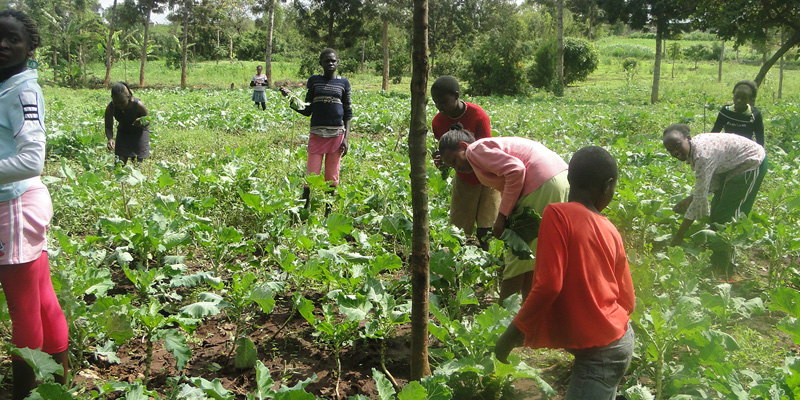 Shelter Children's Home Nairobi