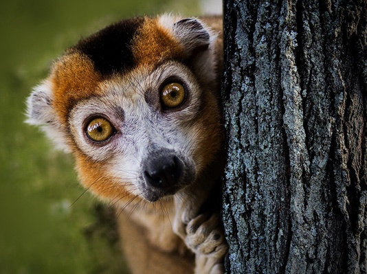 Madagascar Lxuury Holidays