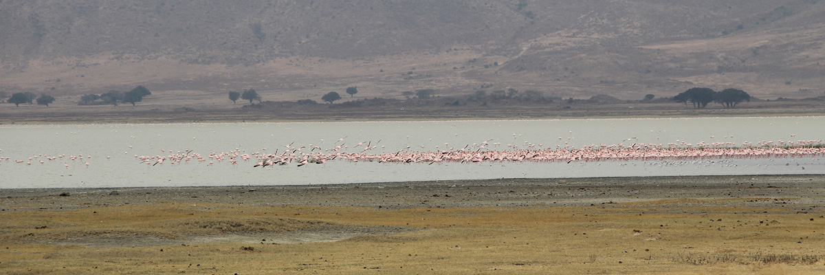 Ngorongoro Crater