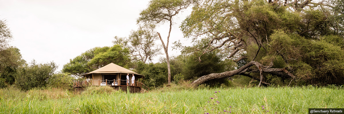 sanctuary-swala - luxury safaris in kenya and tanzania