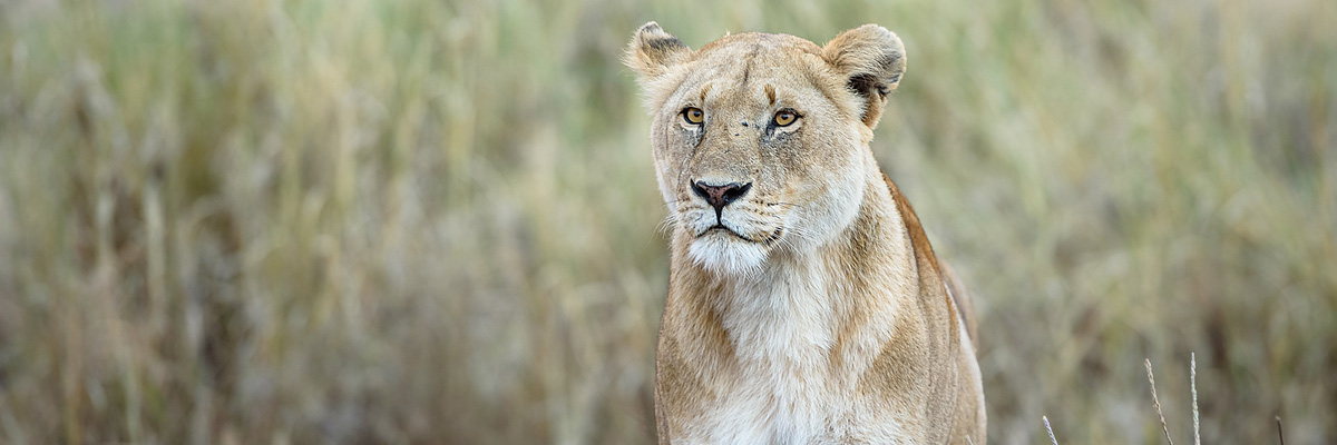 Serengeti National Park