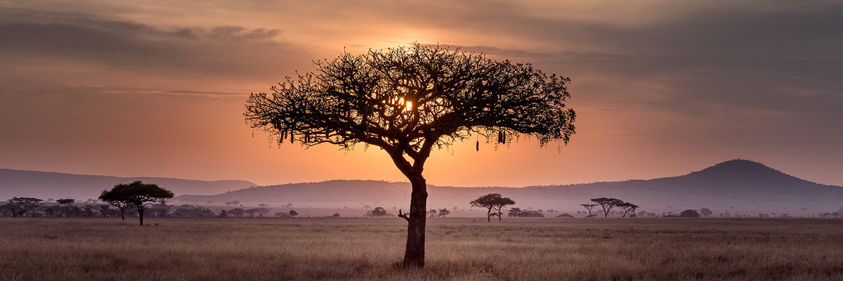 Serengeti National Park