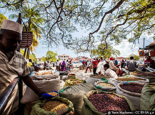 Zanzibar Cultural Tour 