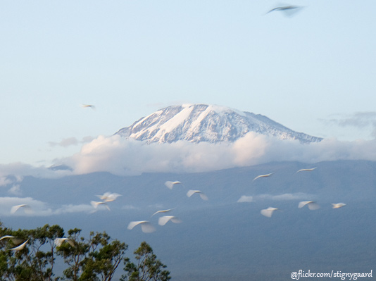 Mount Kilimanjaro